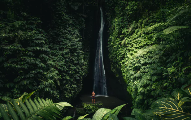 Nature à Bali : Randonnées au cœur de la jungle et des rizières avec l'agence de voyage Bali MimpiGO