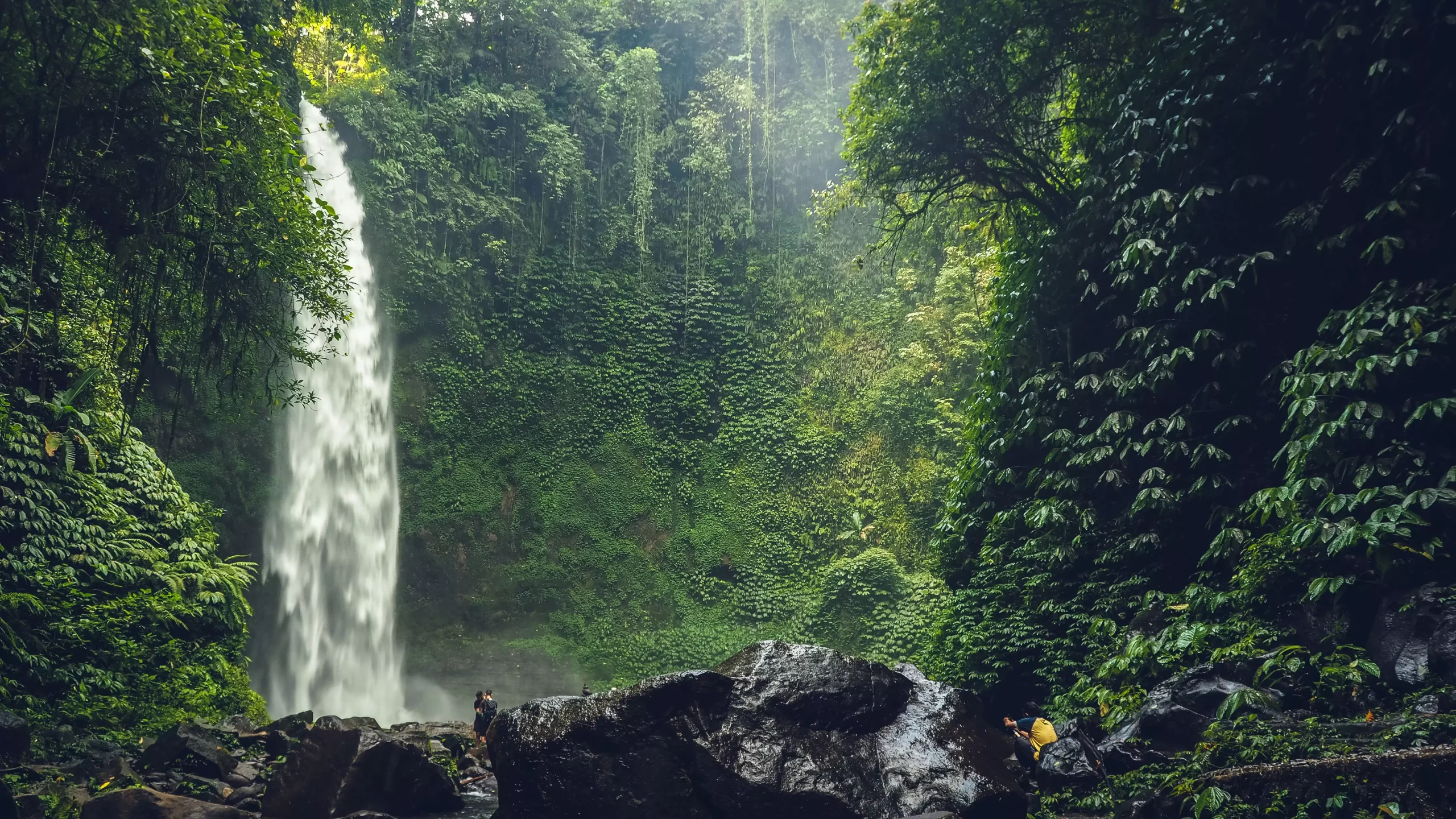 Cascade hors des sentiers battus à explorer à Bali avec l'agence de voyages MimpiGO