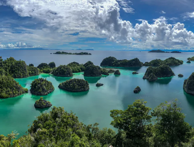 Exploration du dernier paradis, Raja Ampat : Destination Indonésie