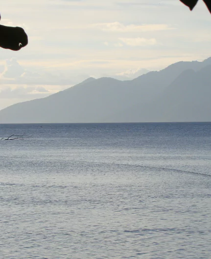 Visiter Flores en Indonésie entre terre et mer avec l'agence de voyages MimpiGO