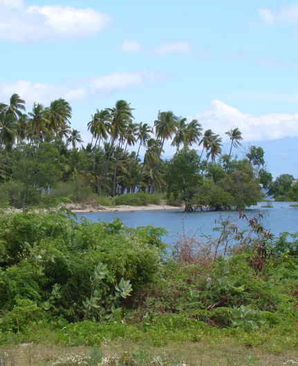 Villages traditionnels et plages paradisiaques à Flores à visiter en séjour sur mesure avec l'agence de voyage Flores MimpiGO