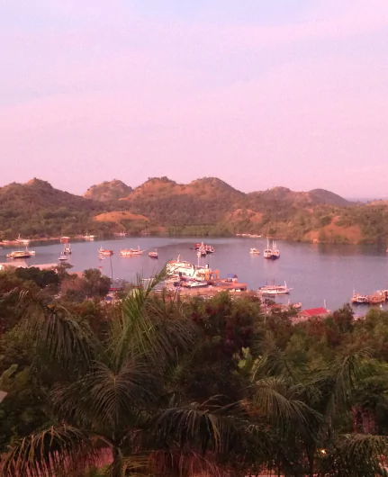 Meilleure excursion en bateau pour voir les dragons de Komodo depuis Labuan Bajo sur l'île de Flores avec l'agence de voyage MimpiGO