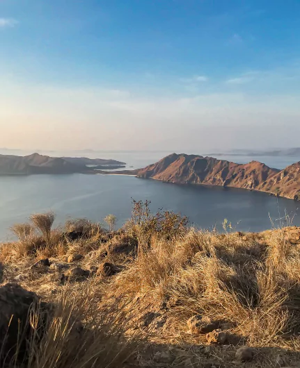 Explorer les fonds marins de l'île de Flores avec l'agence de voyage Flores MimpiGO