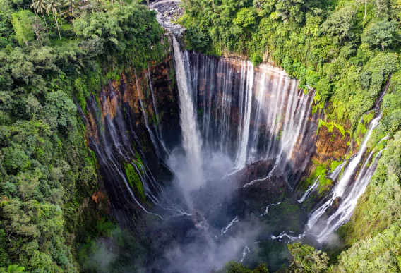 Trek Indonésie dans la jungle tropicale de Bali, Java, Flores, Lombok, Raja Ampat et Sulawesi en excursion et circuit sur mesure avec l'agence de voyages MimpiGO à la découverte des plus belles cascades de l'Indonésie connues et méconnues.