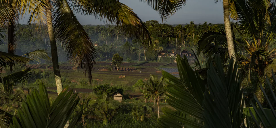 Partir en vacances à Bali avec une agence de voyage locale comme MimpiGO, c'est s'assurer de profiter d'un circuit ultra personnalisé