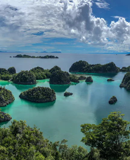 Voyage Raja Ampat entre snorkeling et plongée en bouteilles dans de sublimes fonds marins. La destination paradisiaque d’Indonésie offre aussi des treks dans la jungle à la faune et flore incroyables.