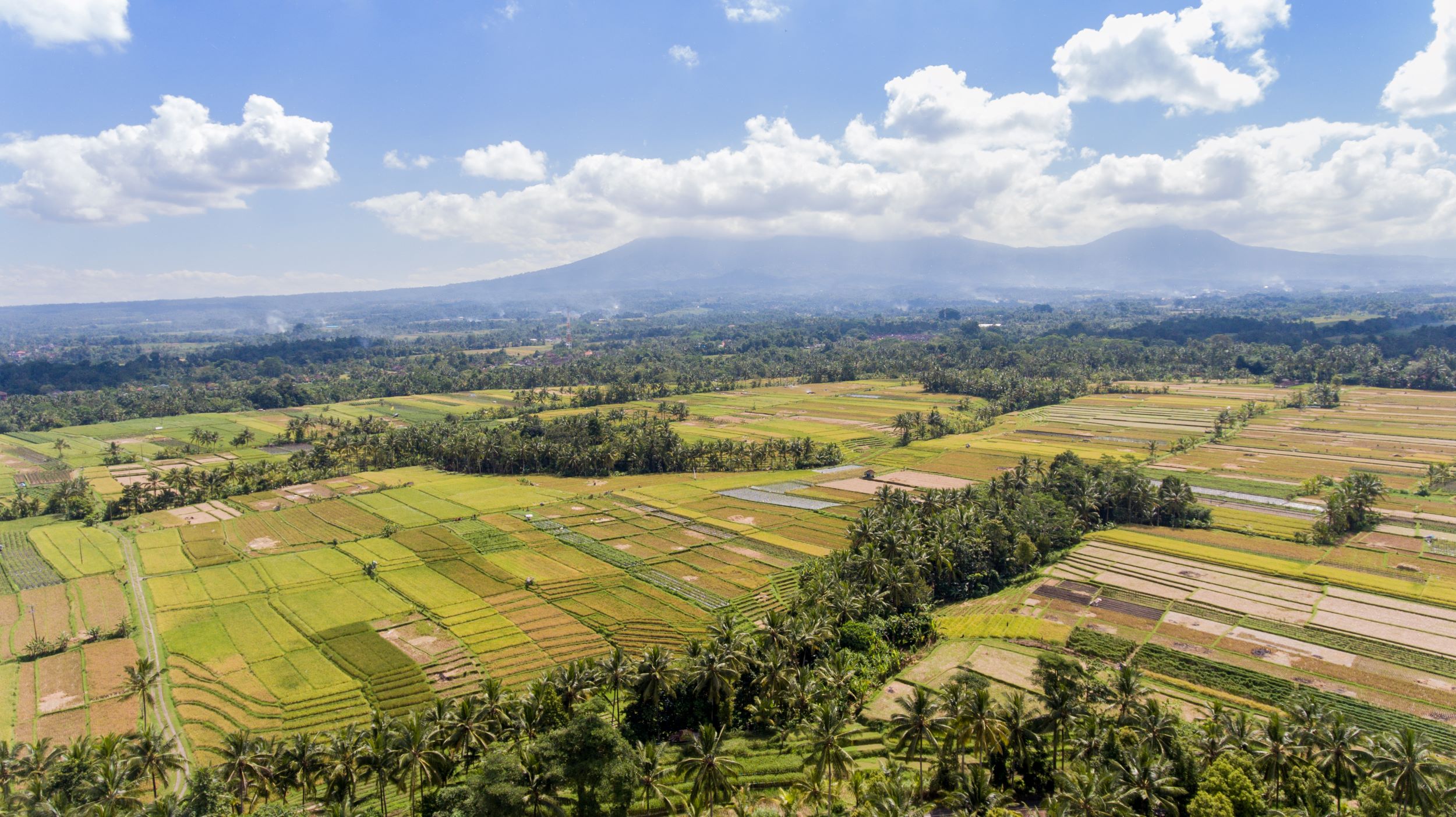 Voyager à Bali pendant la saison des pluies, c'est profiter de paysages plus changeants en fonction des heures de la journée