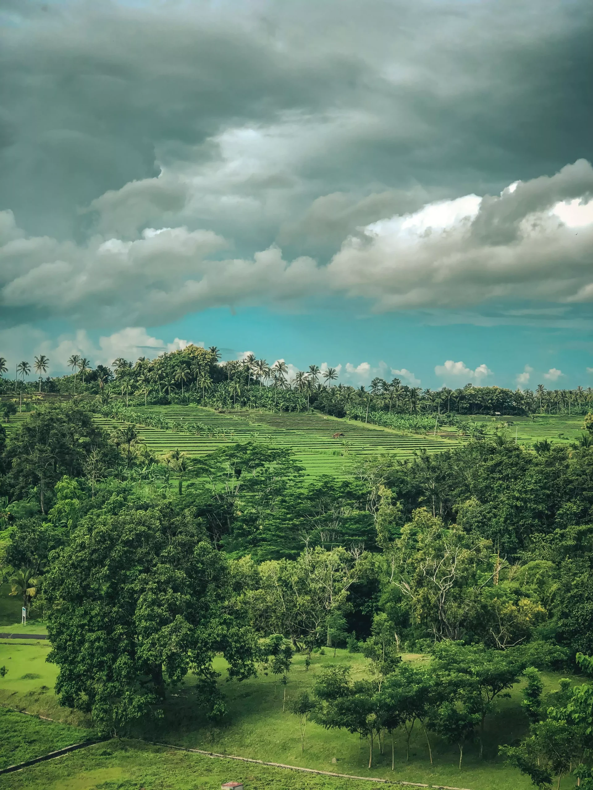 Voyager à Bali pendant la saison des pluies avec l'agence de voyages MimpiGO, c'est pouvoir modifier son circuit en fonction de la météo