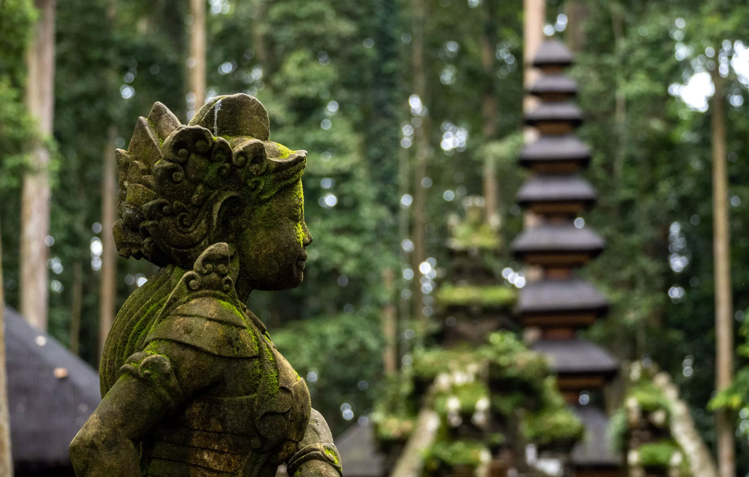 Voyager à Bali pendant la saison des pluies, c'est se plonger dans toutes les nuances de verts dans une ambiance apaisante