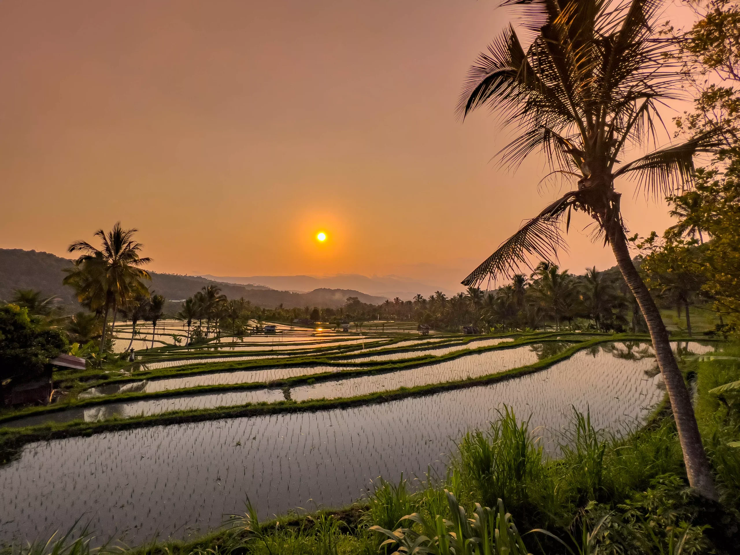 Voyager à Bali pendant la saison des pluies, c'est moins de touristes et des paysages plus verdoyants