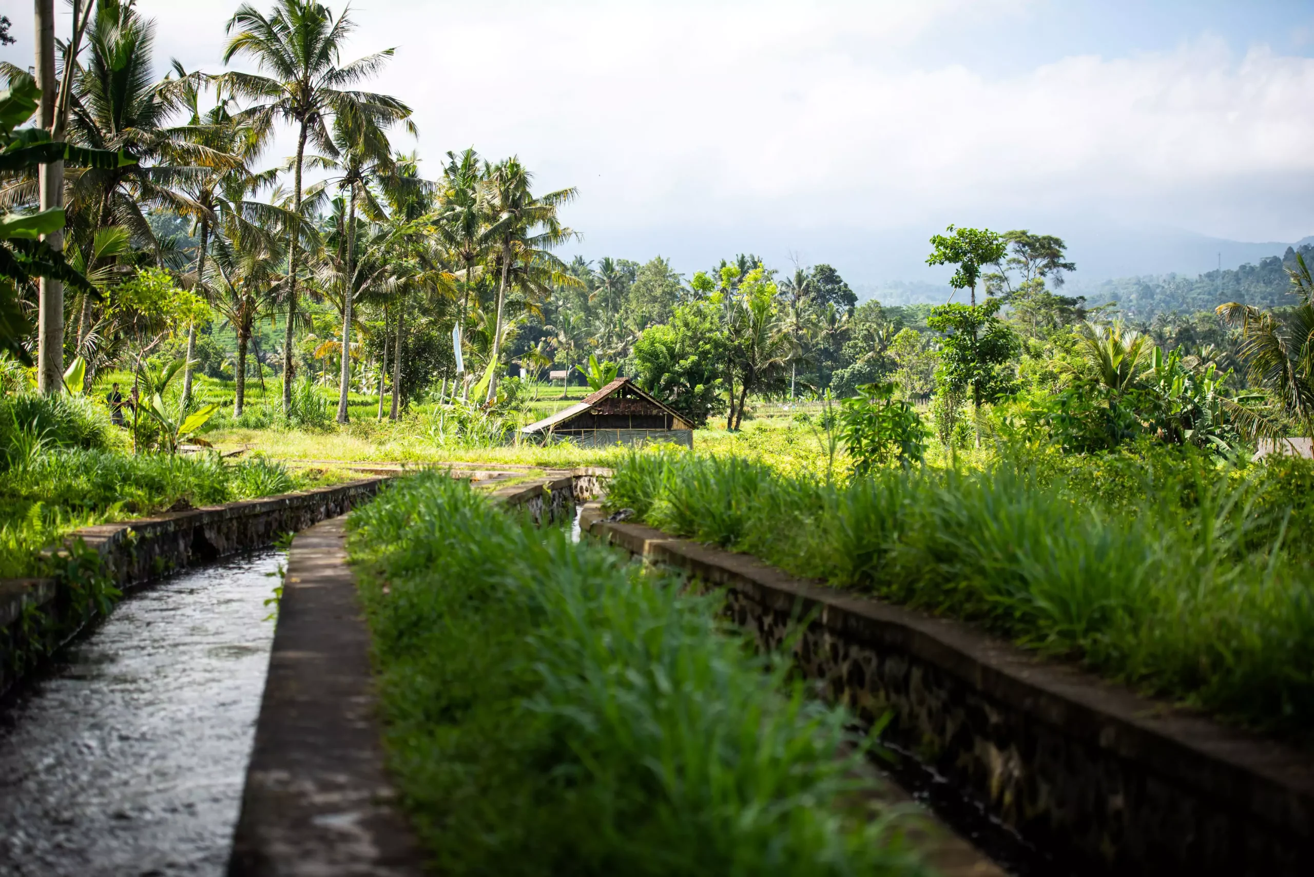 Voyager à Bali pendant la saison des pluies avec l'agence de voyage MimpiGO, c'est visiter Sidemen entre plus tranquillement qu'en haute saison