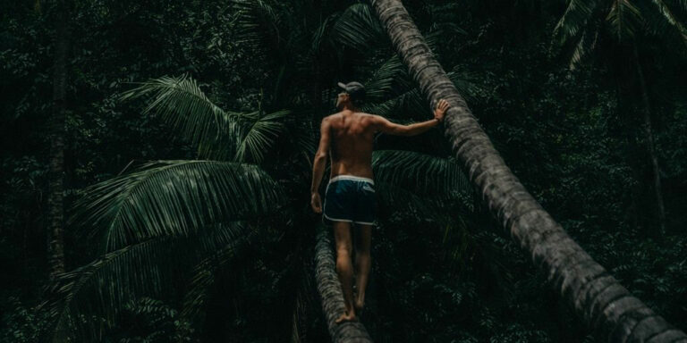 homme de dos en maillot de main marchant sur un palmier coucher dans la jungle de Bali