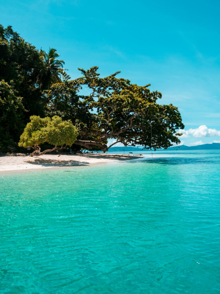 plage de rêve à Raja Ampat