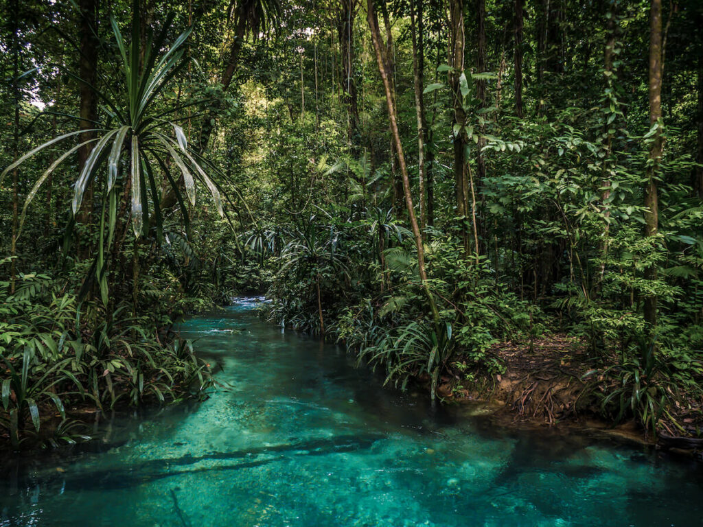 rivière bleu à Raja Ampat