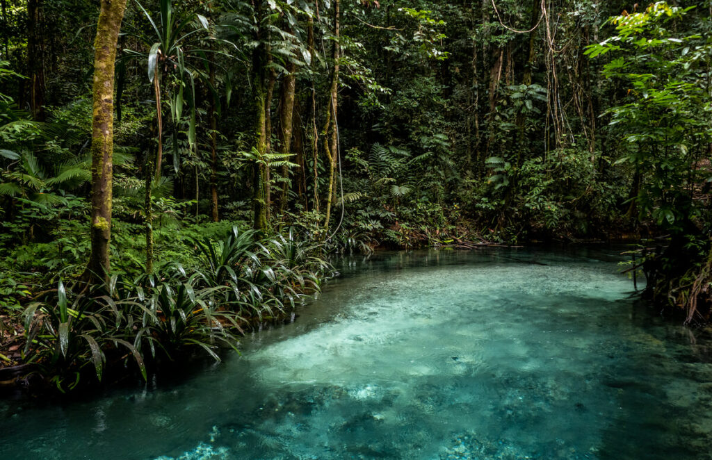 rivière bleu à Raja Ampat