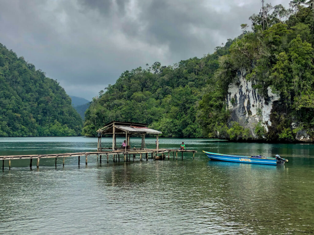 ponton et petit bateau à Raja Ampat