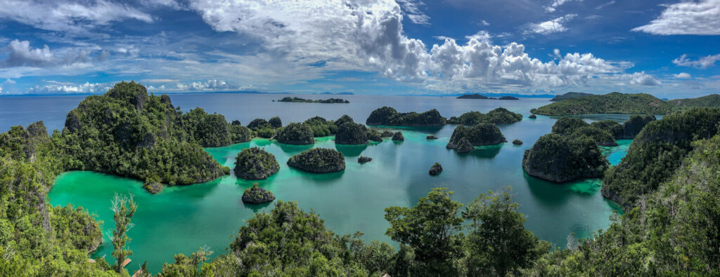 paysage depuis Piaynemo à Raja Ampat