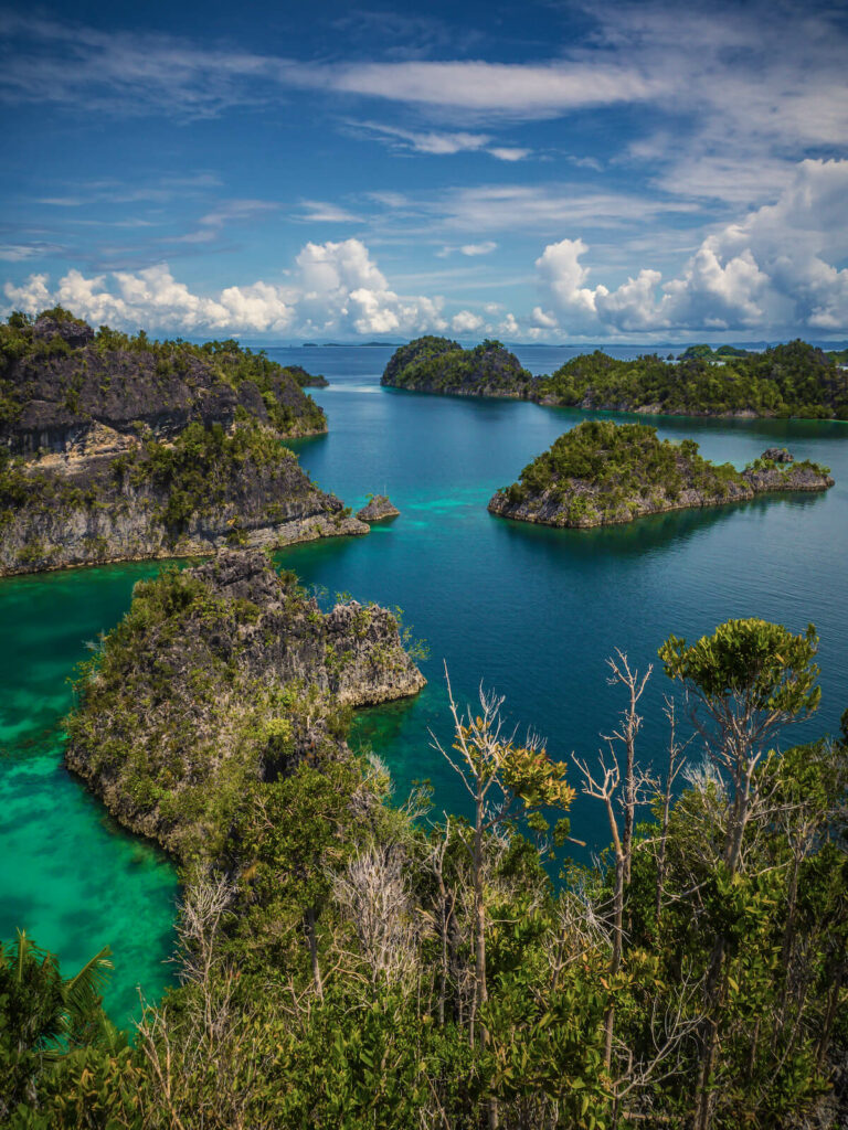 paysage Raja Ampat