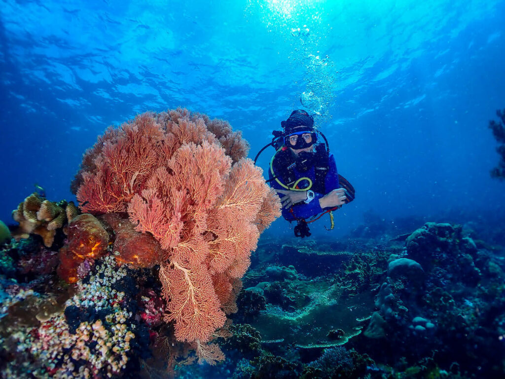 plongeur en bouteille à Raja Ampat