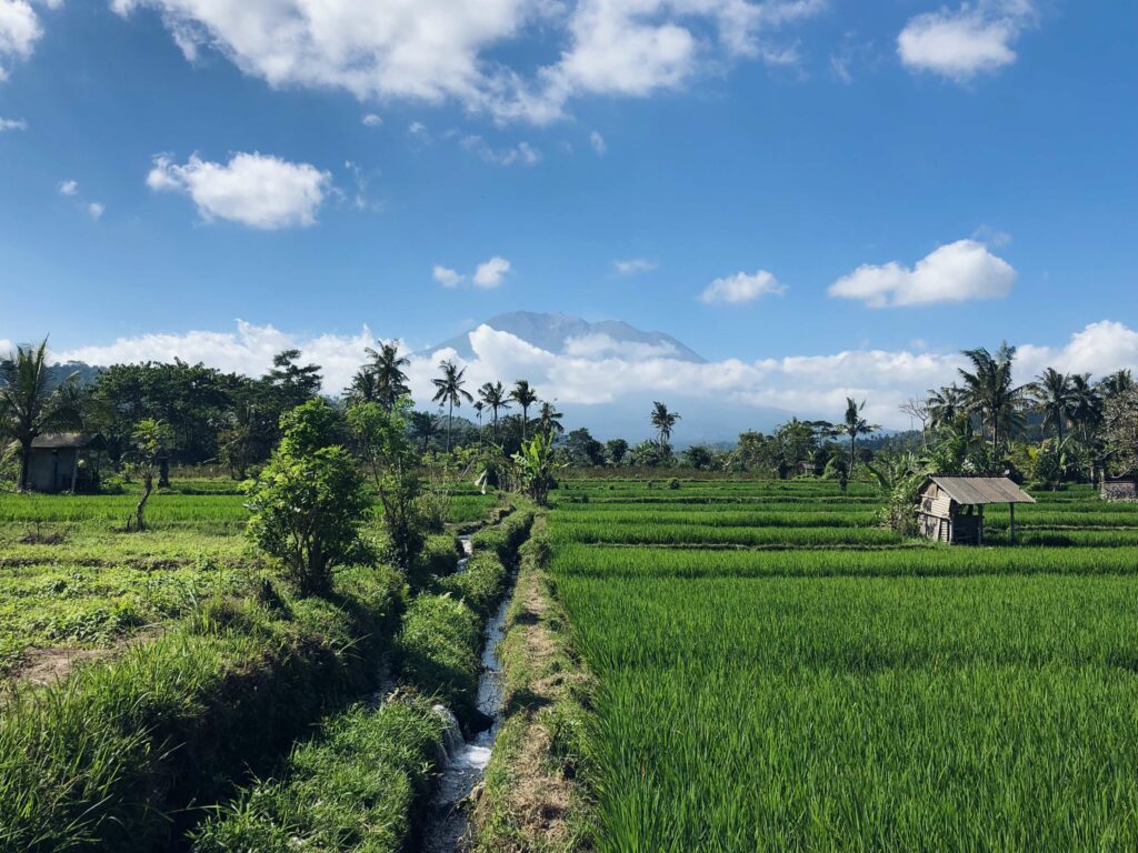 rizières de Sidemen et volcan Agung